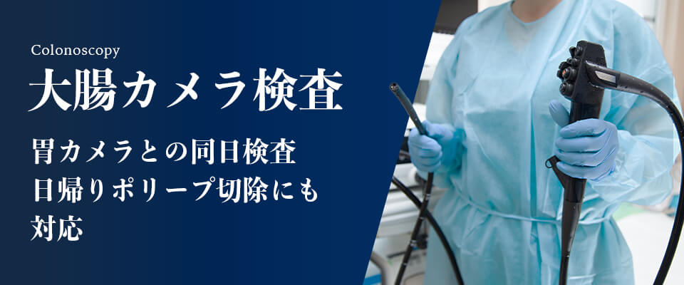 大腸カメラ検査